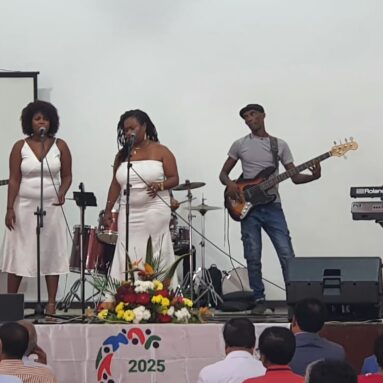 Musical entertainment