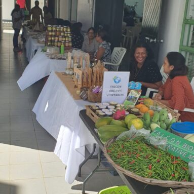 Mini sales of cooperative products by women cooperative entrepreneurs