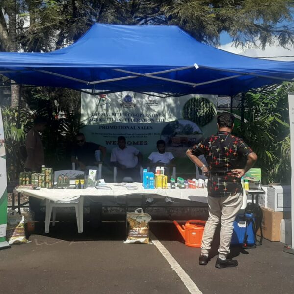 Stall of MCAF